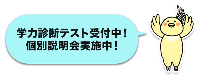 学力診断テスト受付中！個別説明会実施中！