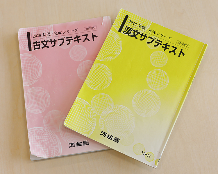 ✨塾内限り✨河合塾 大学受験科 テキスト 国語・日本史 - 参考書