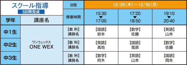 スクール指導（5日間完成）の詳細スケジュールです。