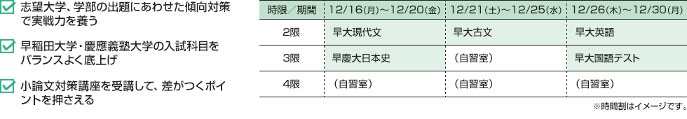 ・志望大学、学部の出題にあわせた傾向対策で実戦力を養う・早稲田大学・慶應義塾大学の入試科目をバランスよく底上げ・小論文対策講座を受講して、差がつくポイントを押さえる[12/16（月）～12/20（金）]2限：早大現代文 3限：早慶大日本史 4限：（自習室）[12/21（土）～12/25（水）]2限：早大古文 3限：（自習室） 4限：（自習室）[12/26（木）～12/30（月）]2限：早大英語 3限：早大国語テスト 4限：（自習室）※時間割はイメージです。