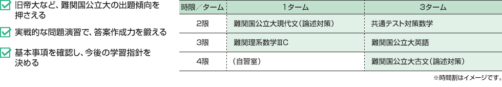 ・旧帝大など、難関国公立大の出題傾向を押さえる・実戦的な問題演習で、答案作成力を鍛える・基本事項を確認し、今後の学習指針を決める　[1ターム]2限：難関国公立大現代文（論述対策） 3限：難関理系数学ⅢC 4限：（自習室）[3ターム]2限：共通テスト対策数学  3限：難関国公立大英語 4限：難関国公立大古文（論述対策）※時間割はイメージです。