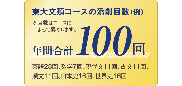 東大文類コースの添削回数（例）※回数はコースによって異なります。年間合計100回 英語28回、数学7回、現代文11回、古文11回、漢文11回、日本史16回、世界史16回