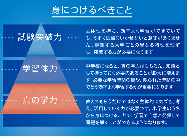 身につけるべきこと 試験突破力 学習体力 真の学力