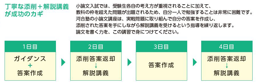 小論文 | 近畿 | 高3・卒生 | 春期講習（高校生・高卒生） | 大学受験の予備校・塾 河合塾